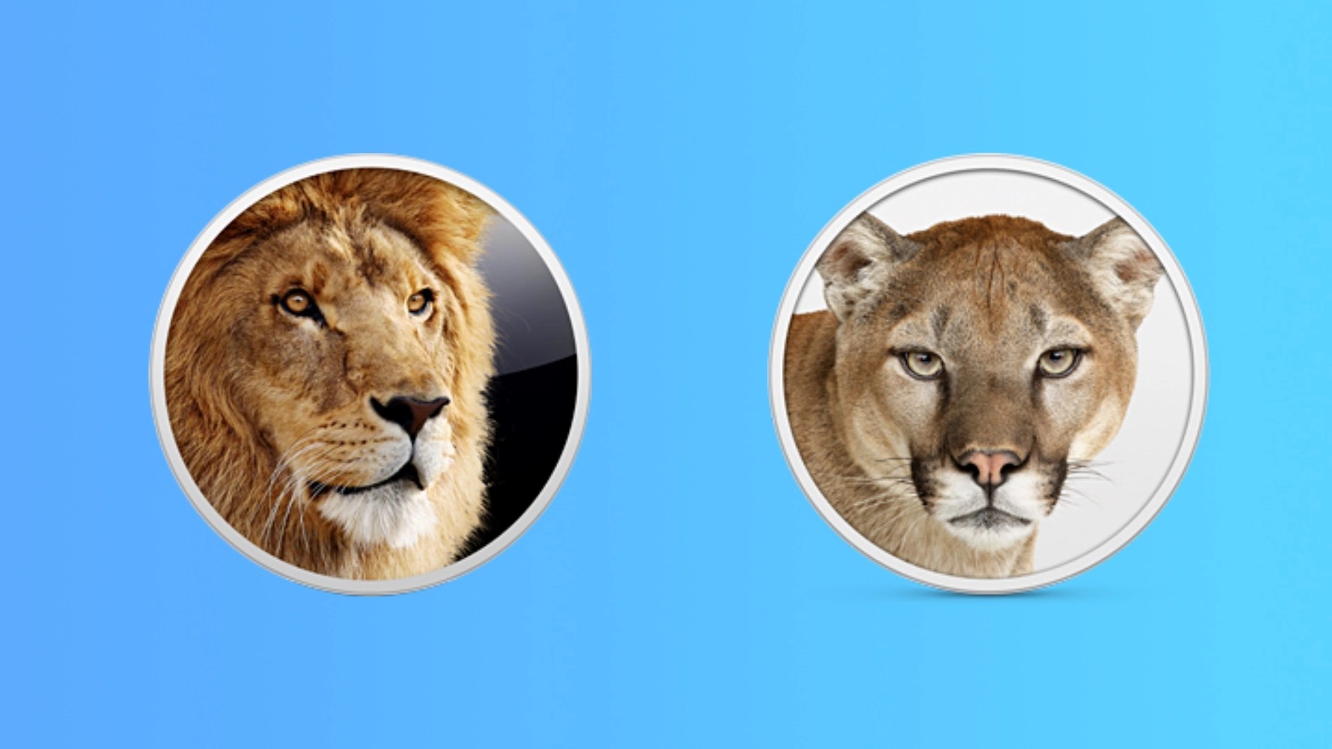 what is the best browser for mac lion
